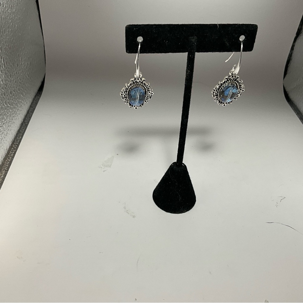 Elegant Silver and Blue Earrings